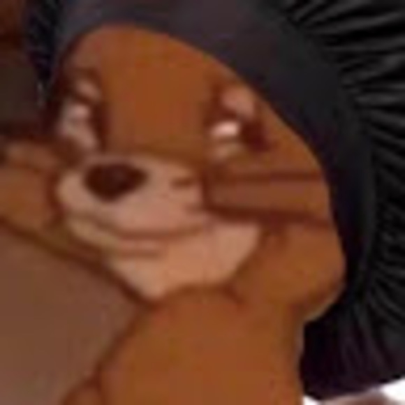 Meet your Posher, Nevaeh - Picture 1 of 1